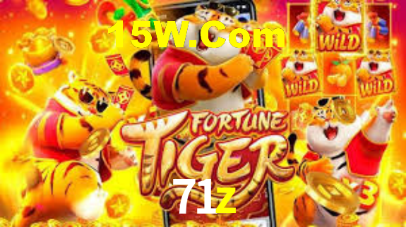 Segurança e privacidade no APP 71z